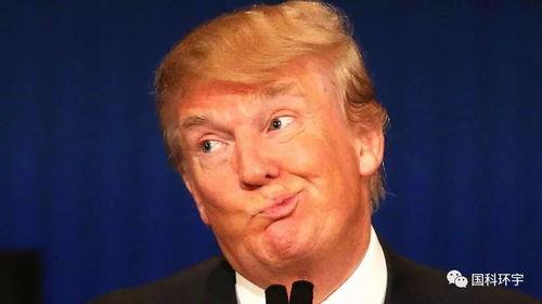 特朗普爆料刘继芬视频播放,真相与争议并存